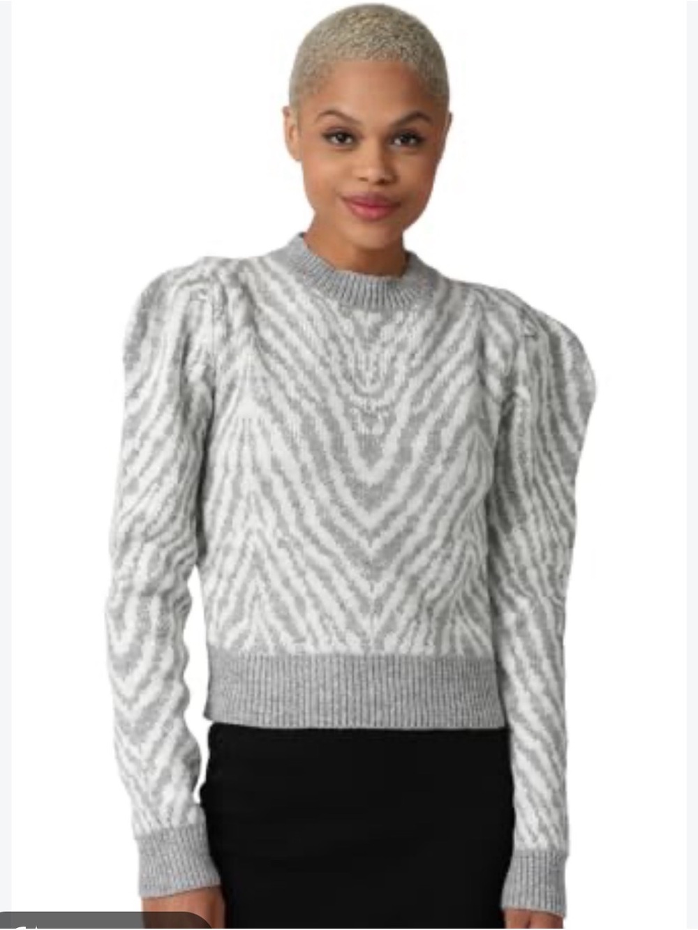Zebra-Print Sweater in Gray and Cream